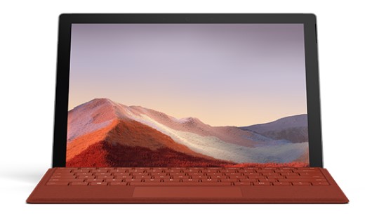 恩阳清洁和维护 Surface